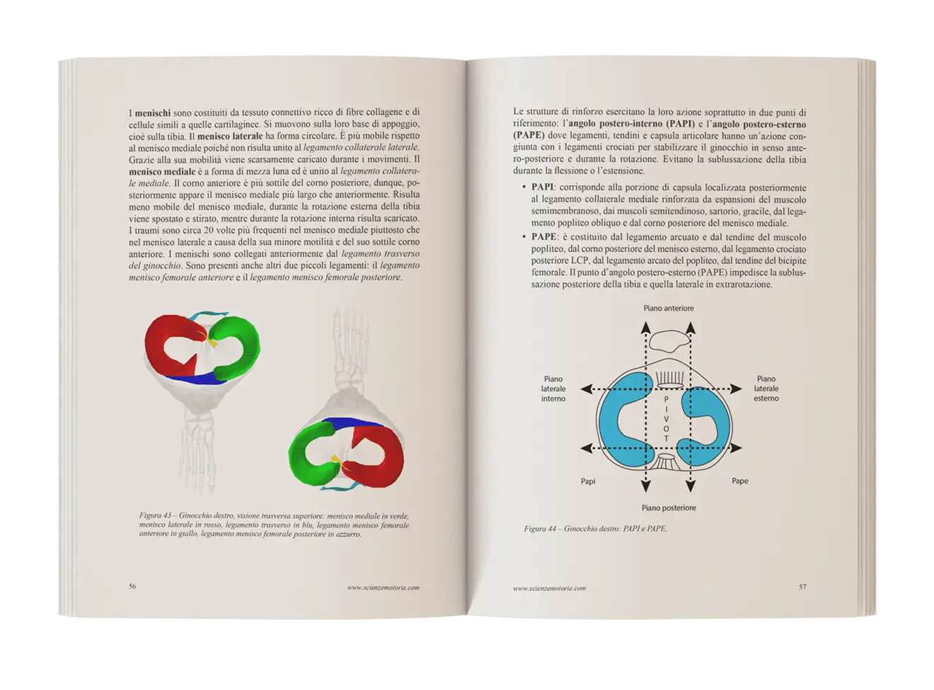 Interno Libro Scienza in Danza Postura 2