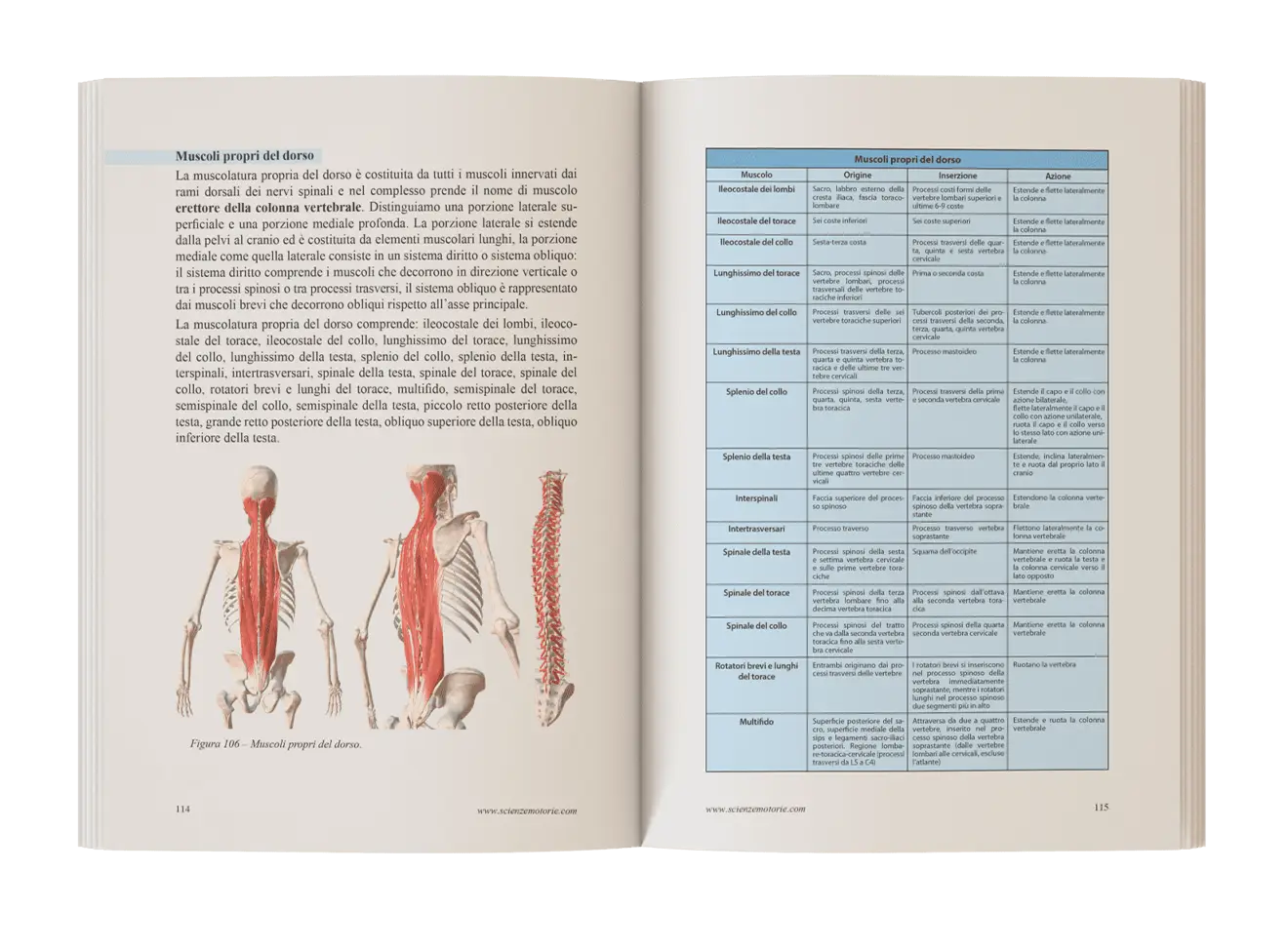 Interno Libro Scienza in Danza Postura 5