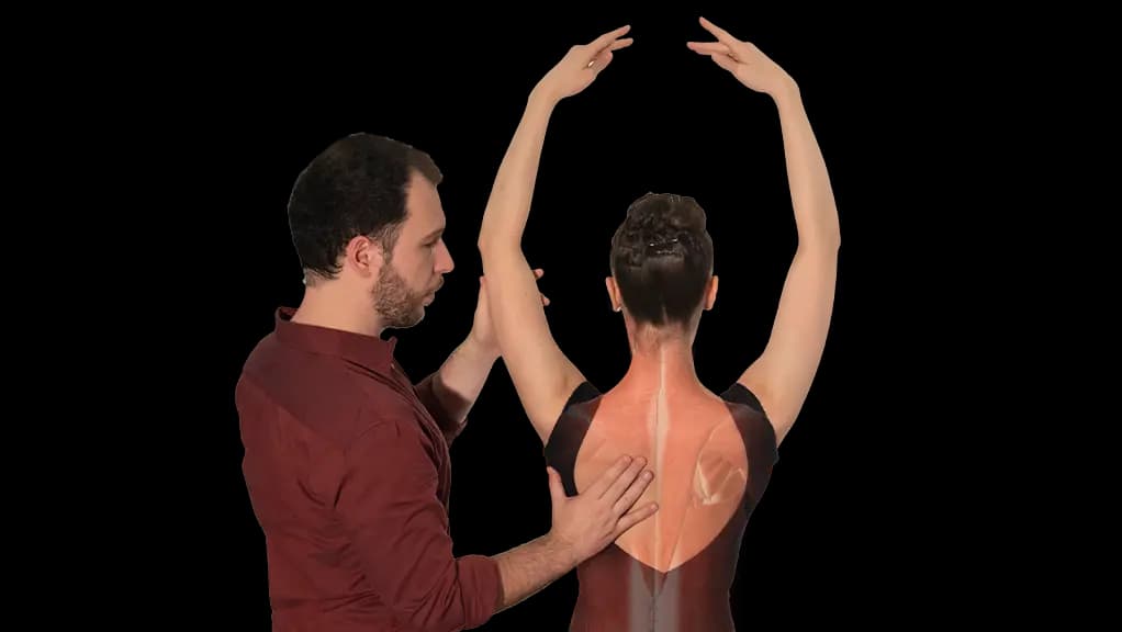 SID Postural